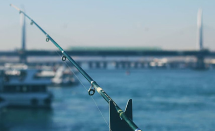 7790�ط�����(�й�)���޹�˾